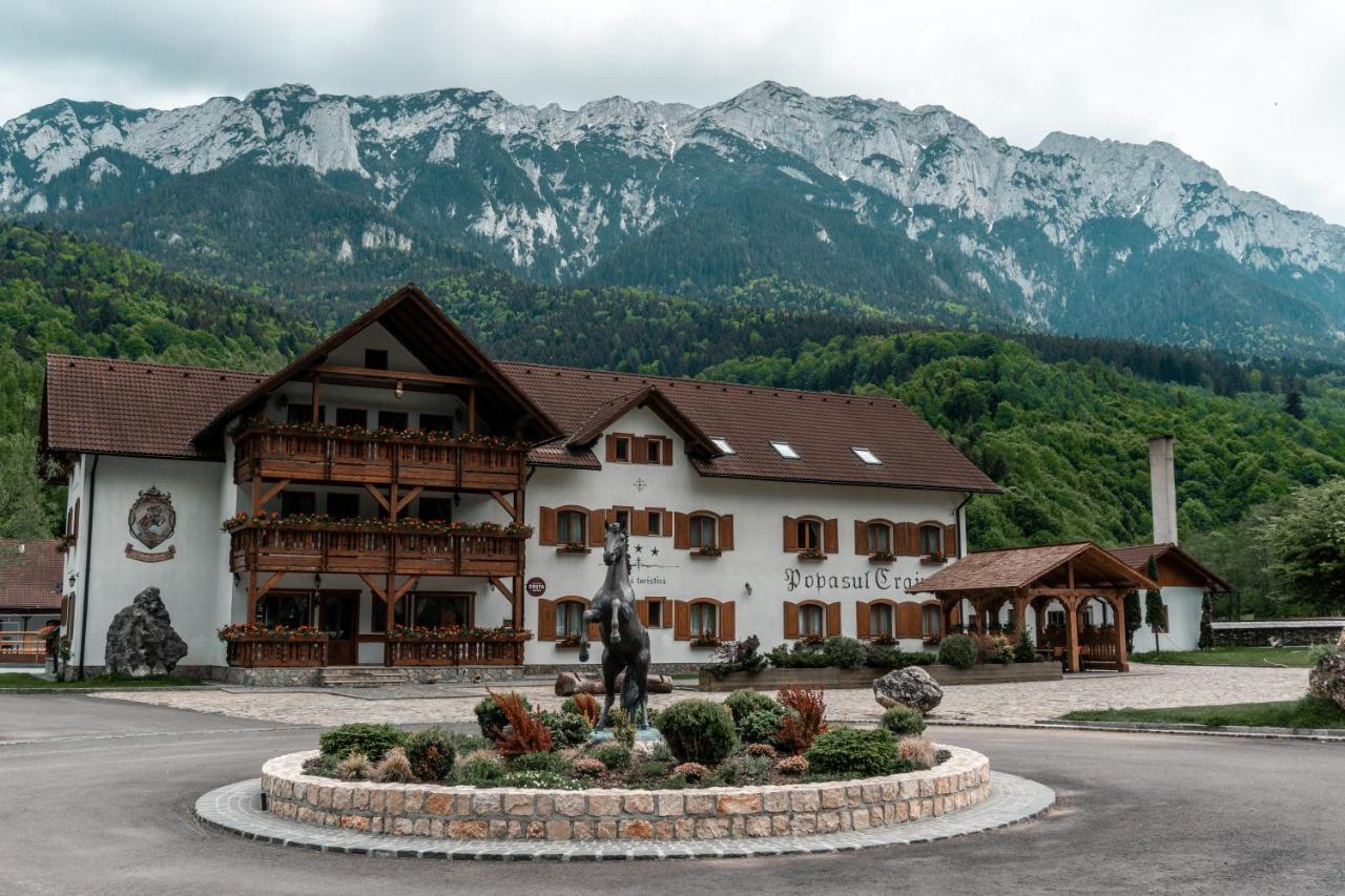 Zărneşti Popasul Craiuluiヴィラ エクステリア 写真