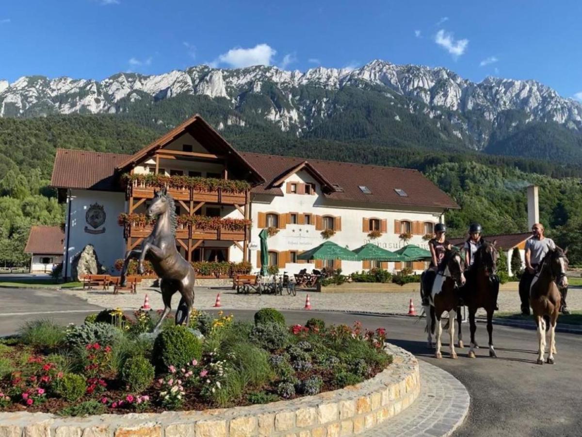 Zărneşti Popasul Craiuluiヴィラ エクステリア 写真