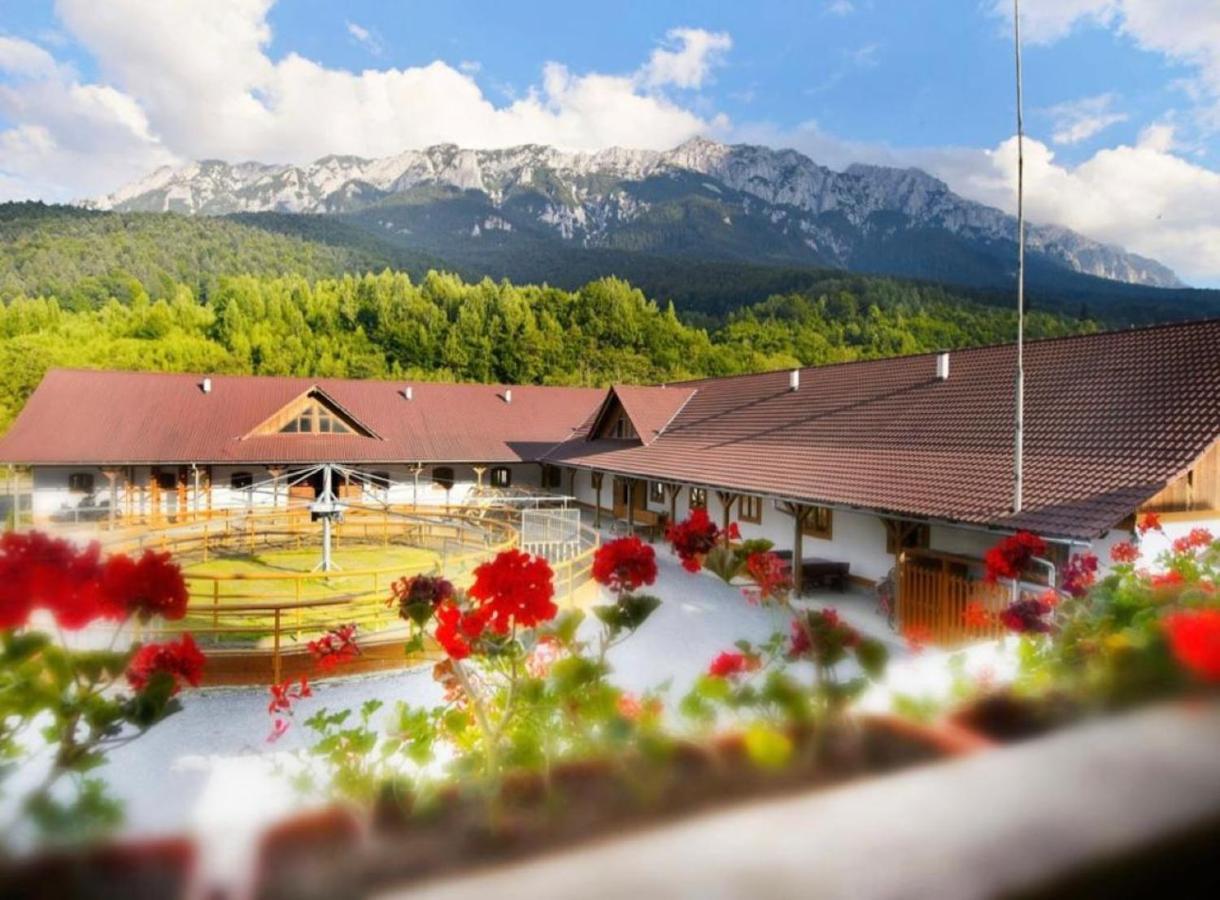 Zărneşti Popasul Craiuluiヴィラ エクステリア 写真